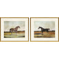 Equestrian Wood Multi Framed Wall Art 2PC