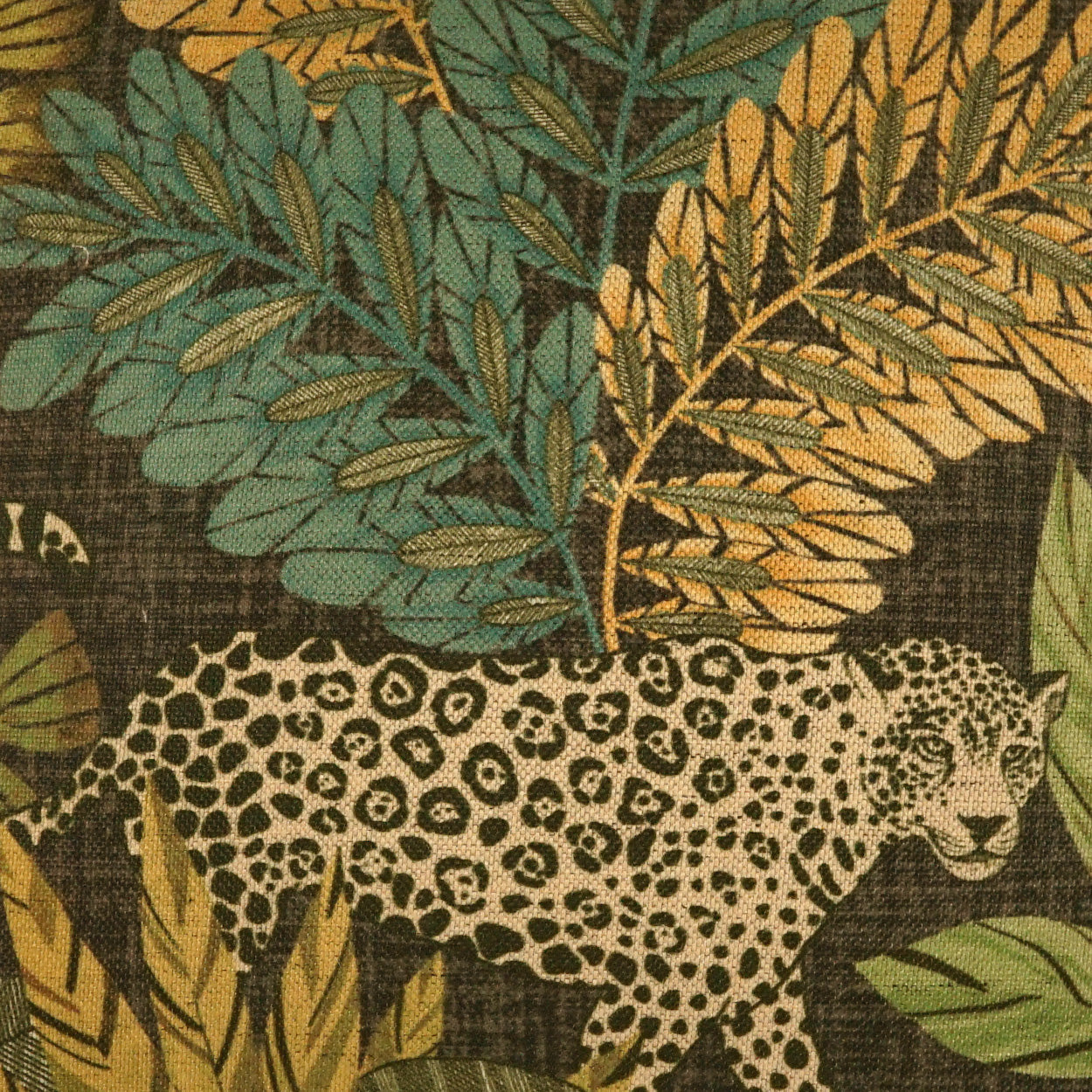 Etosha Hidden Zipper Throw Pillow