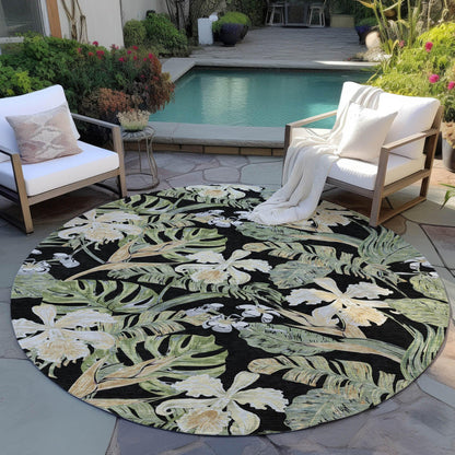Faereth Black Washable Indoor-Outdoor Rug
