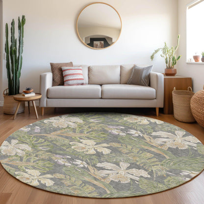 Faereth Gray Washable Indoor-Outdoor Rug