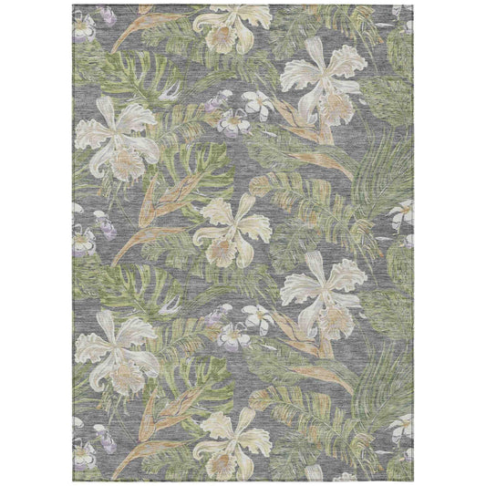 Faereth Gray Washable Indoor-Outdoor Rug