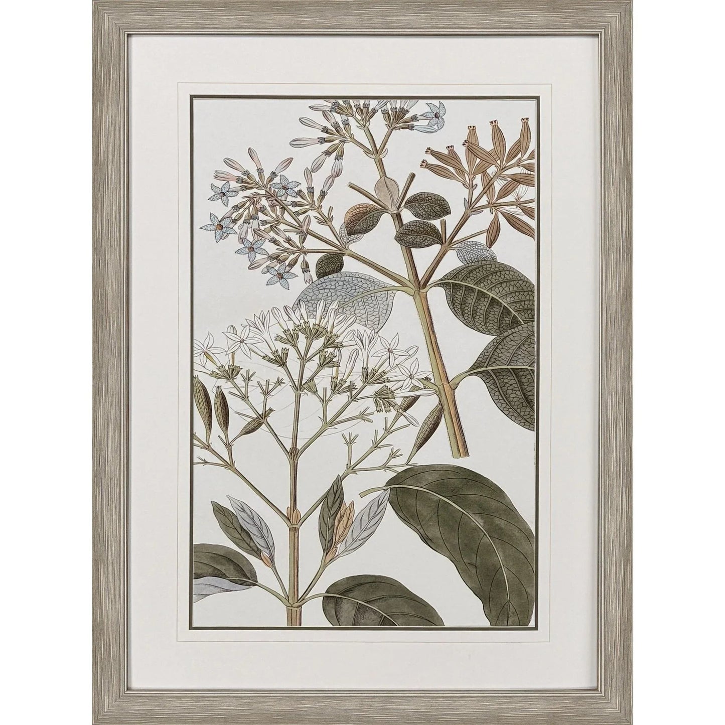 Flowering Botanical Green Framed Wall Art