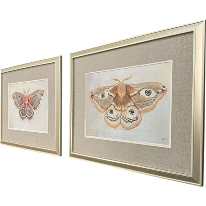 Forest Moth Pink Framed Wall Art 2PC