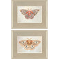 Forest Moth Pink Framed Wall Art 2PC