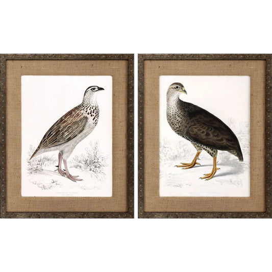 Francolinus Birds Wood Framed Wall Art 2PC