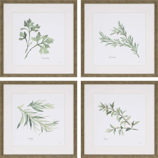 Fresh Herbs Green Framed Wall Art 4PC