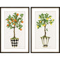 Fruit Topiary Wood Framed Wall Art 2PC