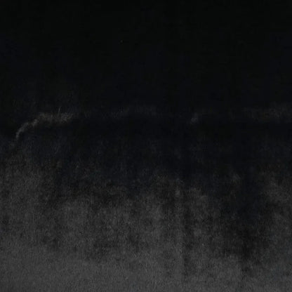 Furocious Black Throw Pillow With Insert - LOOMLAN - D.V. Kap - Throw Pillows