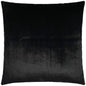 Furocious Black Throw Pillow With Insert - LOOMLAN - D.V. Kap - Throw Pillows