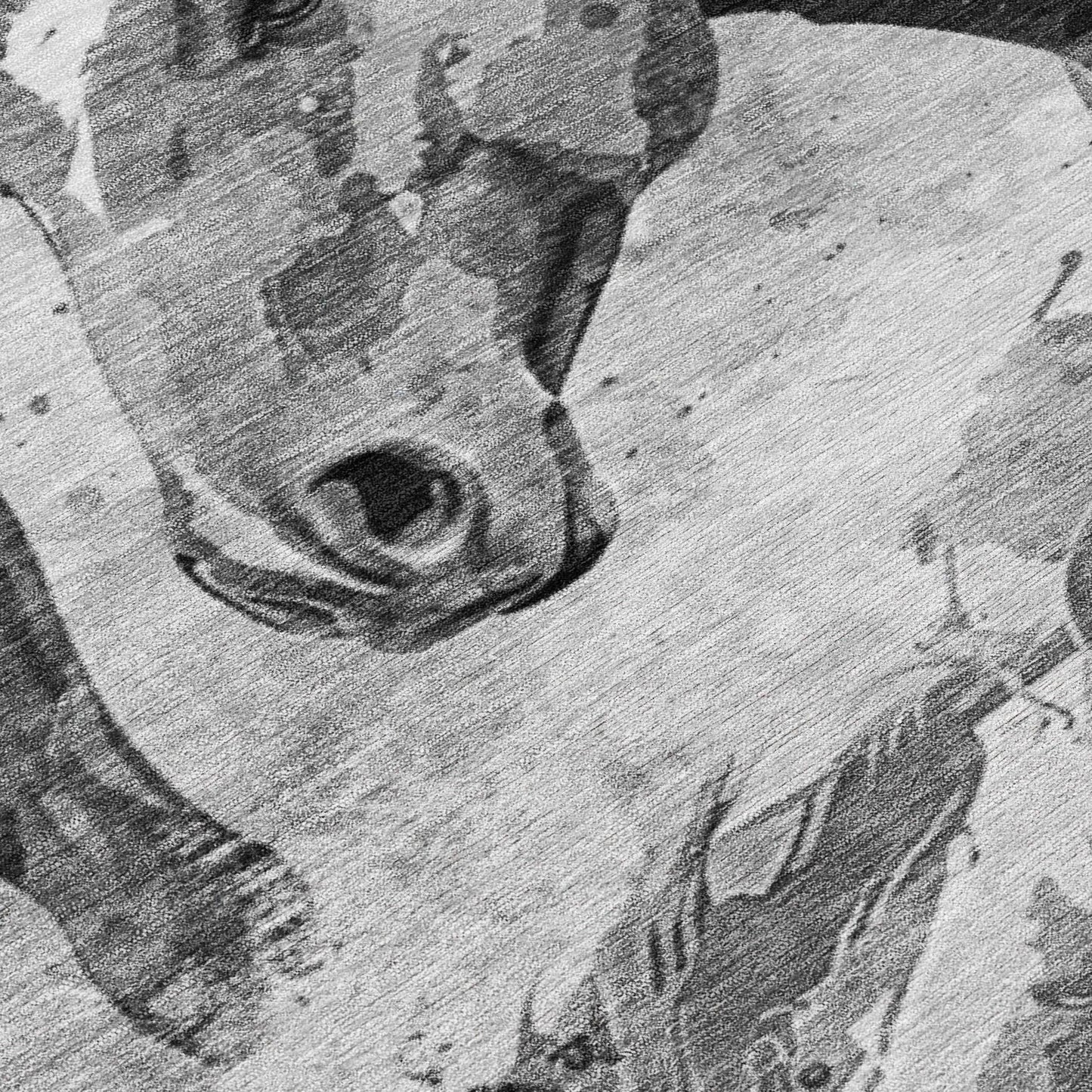 Galius Gray Washable Indoor-Outdoor Rug