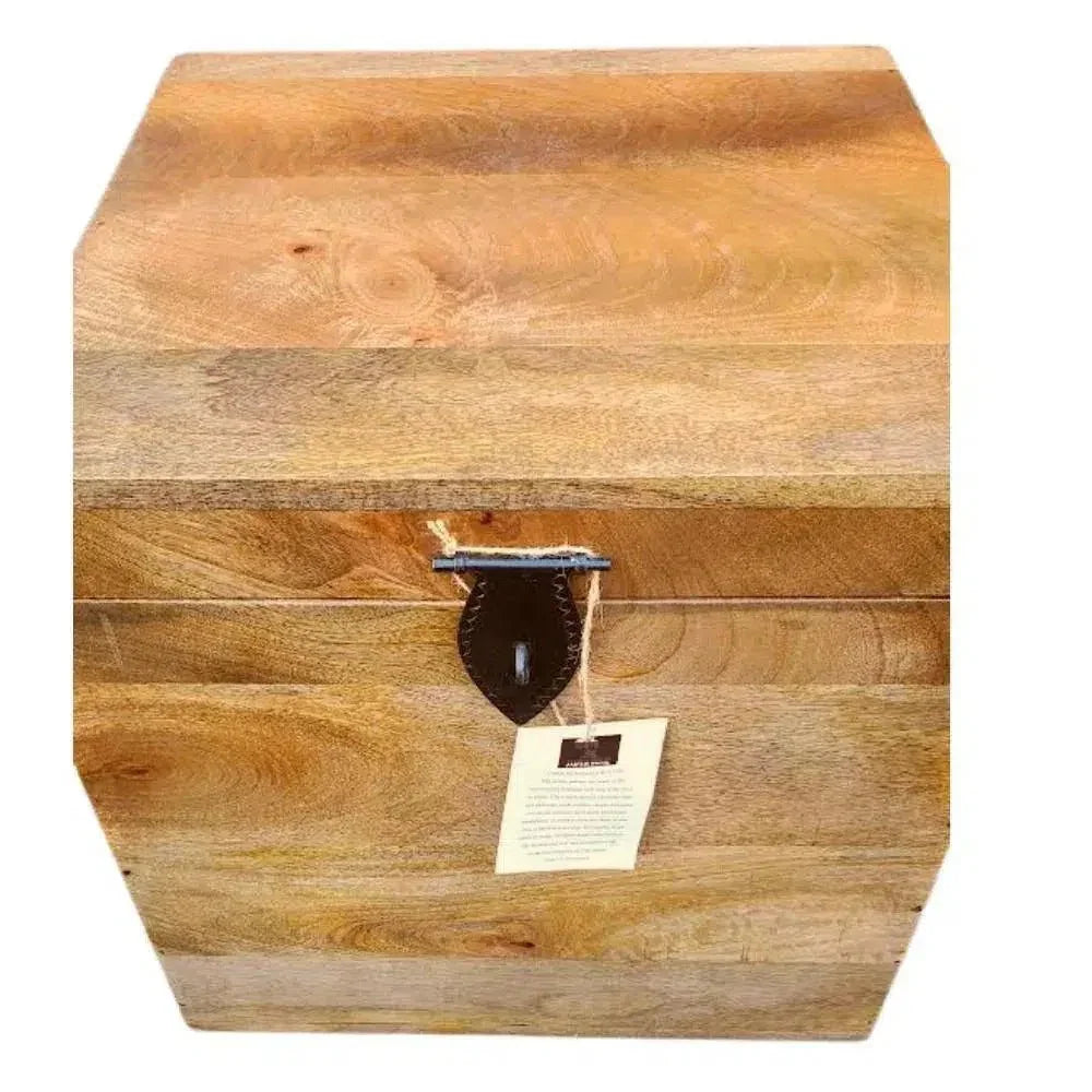 Square Storage Cube Trunk Farmhouse Jameson - LOOMLAN - LOOMLAN - Trunks