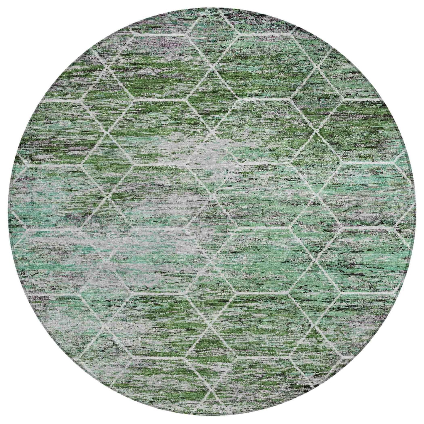 Galyn Green Washable Indoor-Outdoor Rug