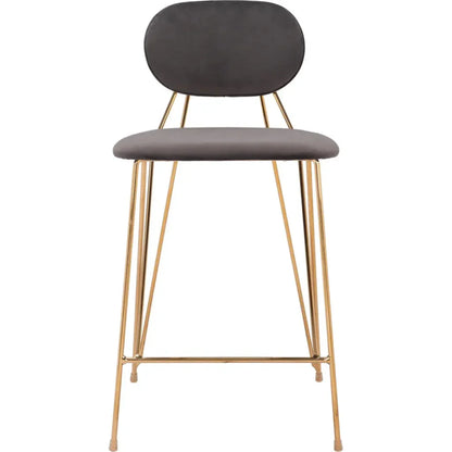 Georges Gray and Gold Counter Stool 2PC - LOOMLAN - Zuo Modern - Counter Stools