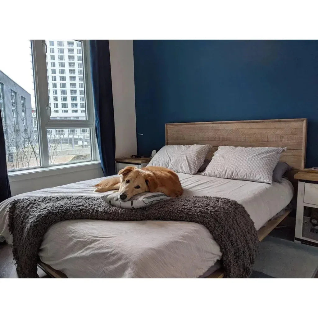 Gia Natural Wood Platform Bed Frame - LOOMLAN - LH Imports - Beds