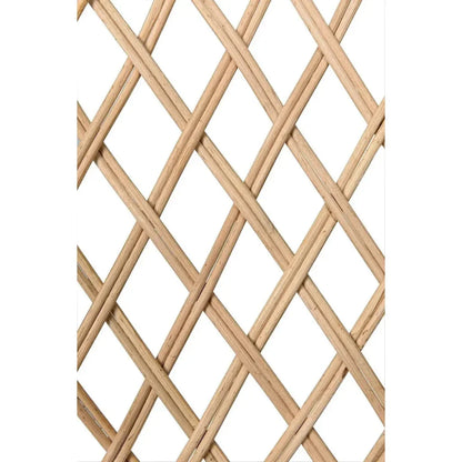 Gigi Birch and Rattan Arm Chair - LOOMLAN - Noir - Accent Chairs