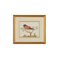 Gold Breast/Red Berry Gold Framed Watercolor Artwork-Framed Wall Art-Chelsea House-LOOMLAN