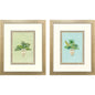 Grecian Vase Palm II Framed Wall Art 2PC