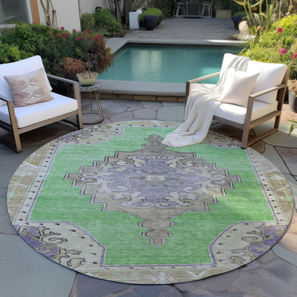 Haelion Green Washable Indoor-Outdoor Rug