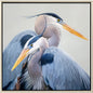 Harmony Blue Heron Canvas Art