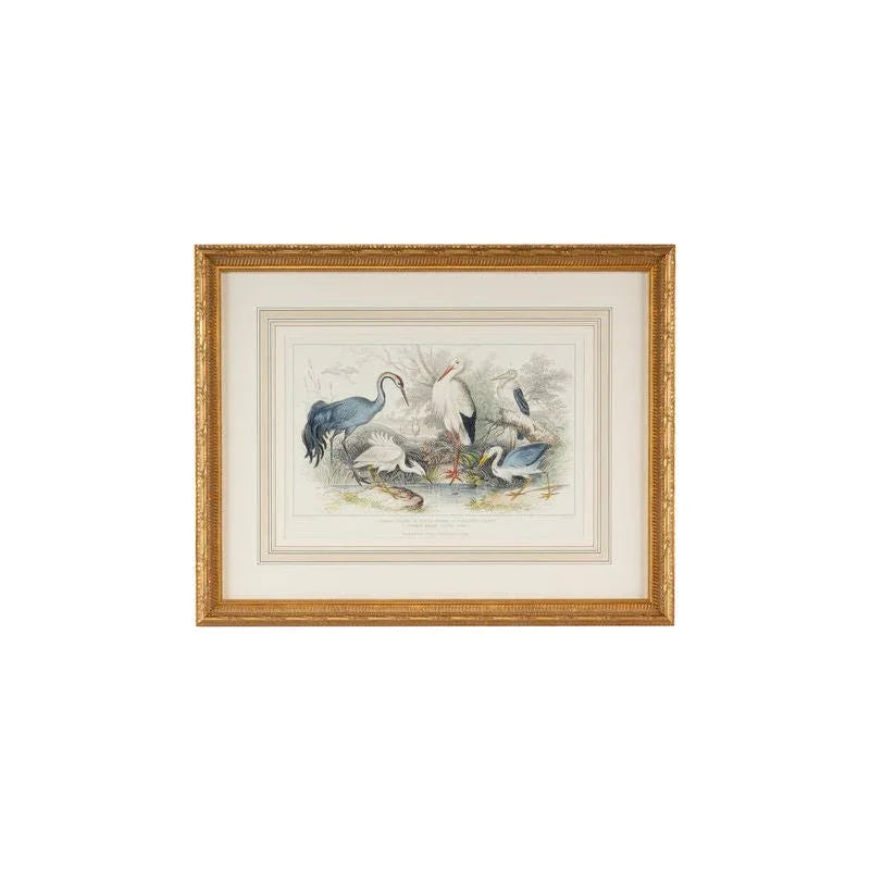 Herons, Egrets & Cranes Gold Leafed Frame Artwork-Framed Wall Art-Chelsea House-LOOMLAN