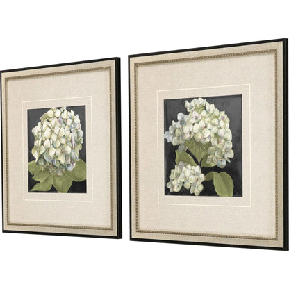 Hydrangeas on Black Wood Framed Wall Art 2PC