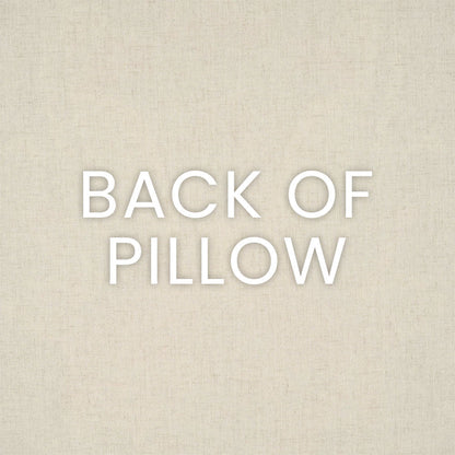 Illecebrous Removeable Cover Throw Pillow