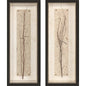 In Balance Brown Framed Wall Art 2PC