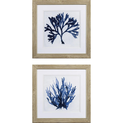 Indigo Coral A Blue Framed Wall Art 2PC