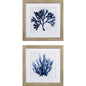Indigo Coral A Blue Framed Wall Art 2PC