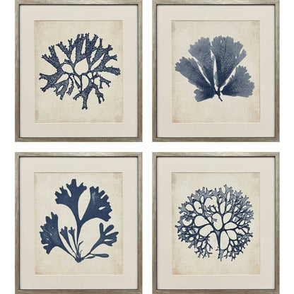 Indigo Sea Life Wood Framed Wall Art 4PC