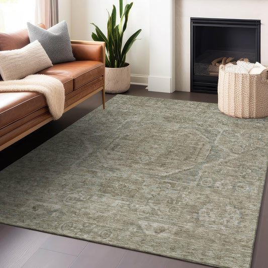 Iriir Gray Washable Indoor-Outdoor Rug