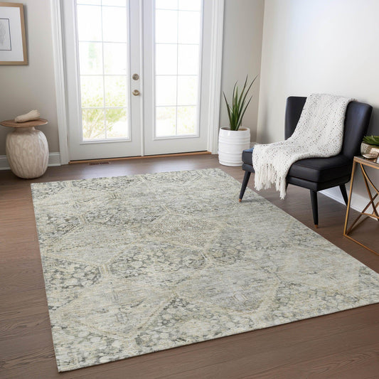 Iriius Gray Washable Indoor-Outdoor Rug