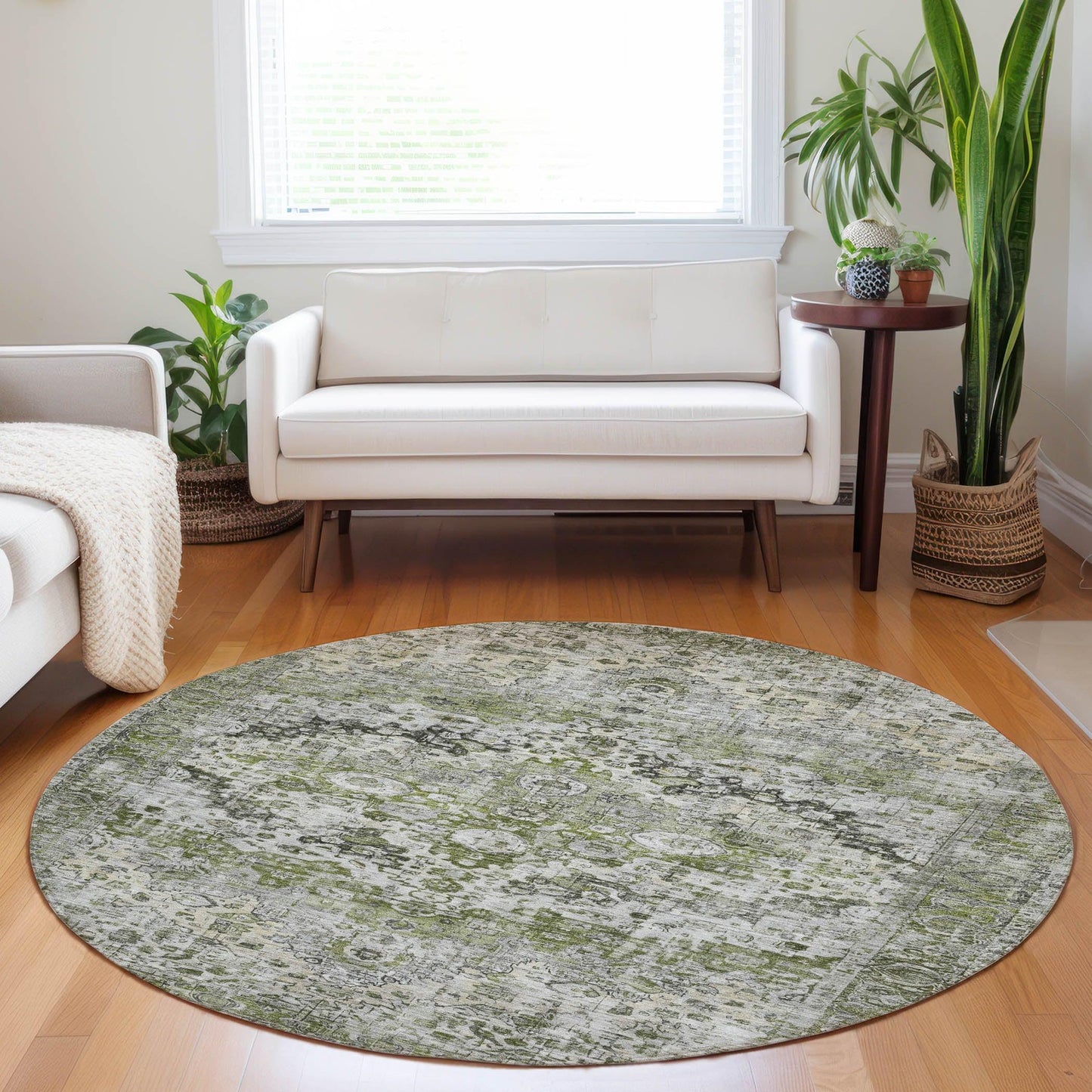Jaelien Aloe Washable Indoor-Outdoor Rug