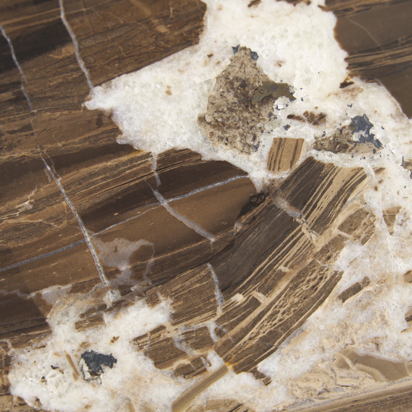 Jovia Cappuccino Marble Top Round Coffee Table