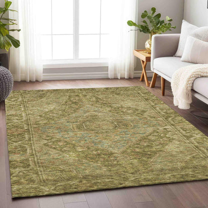 Kaelanor Aloe Washable Indoor-Outdoor Rug