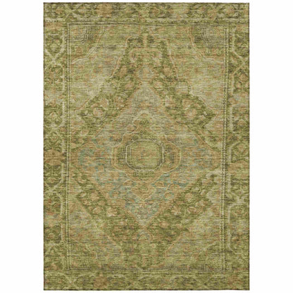 Kaelanor Aloe Washable Indoor-Outdoor Rug
