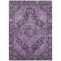 Kaelanor Purple Washable Indoor-Outdoor Rug