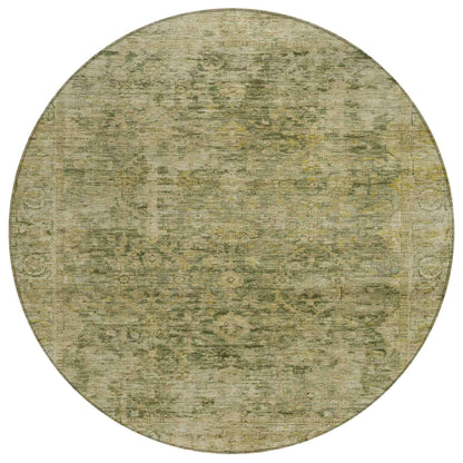 Laeon Green Washable Indoor-Outdoor Rug