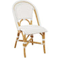 Leroy Rattan Framed Armless Side Chair 2PC - LOOMLAN - Furniture Classics - Dining Chairs