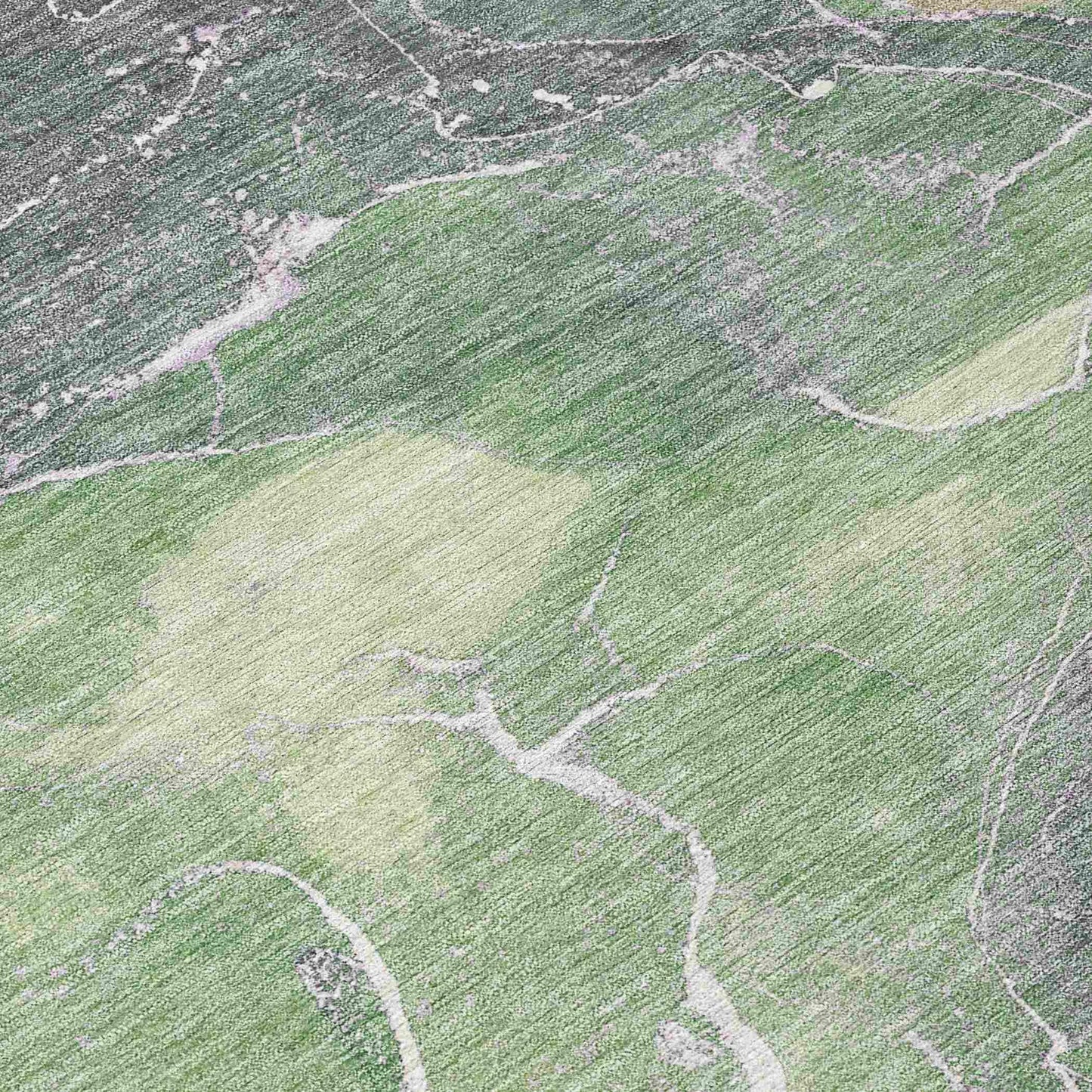 Maeon Green Washable Indoor-Outdoor Rug