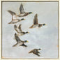 Mallard Migration I Blue Canvas Art