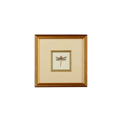 Miniature Dragonfly Gold Framed Artwork-Framed Wall Art-Chelsea House-Dragonfly II-LOOMLAN