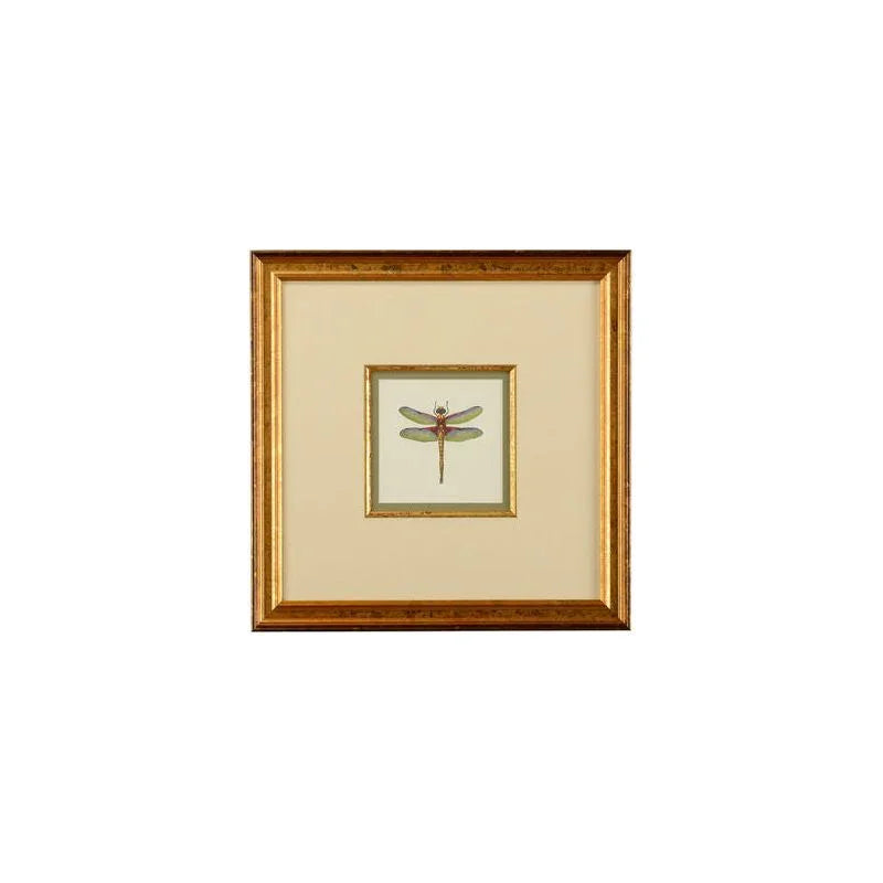 Miniature Dragonfly Gold Framed Artwork-Framed Wall Art-Chelsea House-Dragonfly IV-LOOMLAN