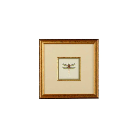 Miniature Dragonfly Gold Framed Artwork-Framed Wall Art-Chelsea House-Dragonfly IV-LOOMLAN