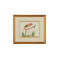 Multicolor Bird Gold Framed Watercolor Artwork-Framed Wall Art-Chelsea House-LOOMLAN