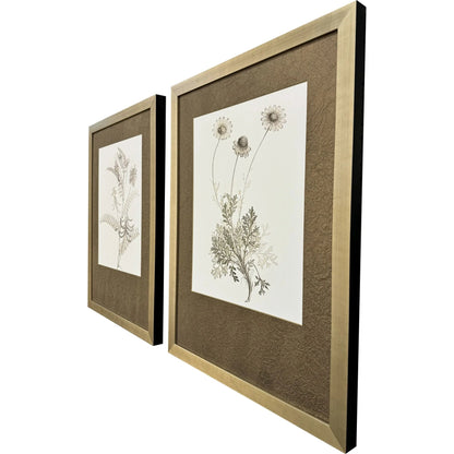 Neutral Botanical Wood Framed Wall Art 2PC