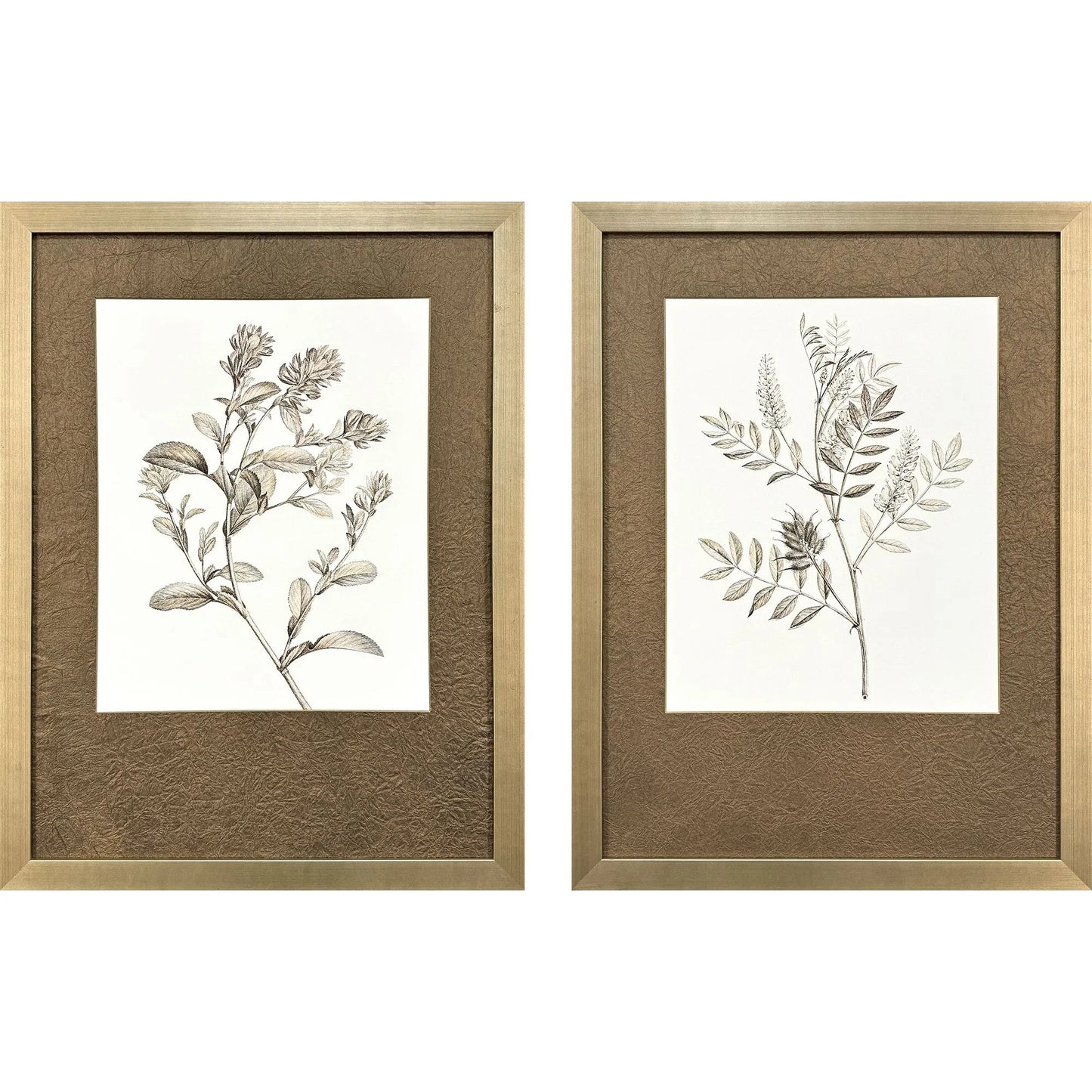 Neutral Botanical Wood Framed Wall Art 2PC