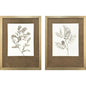 Neutral Botanical Wood Framed Wall Art 2PC