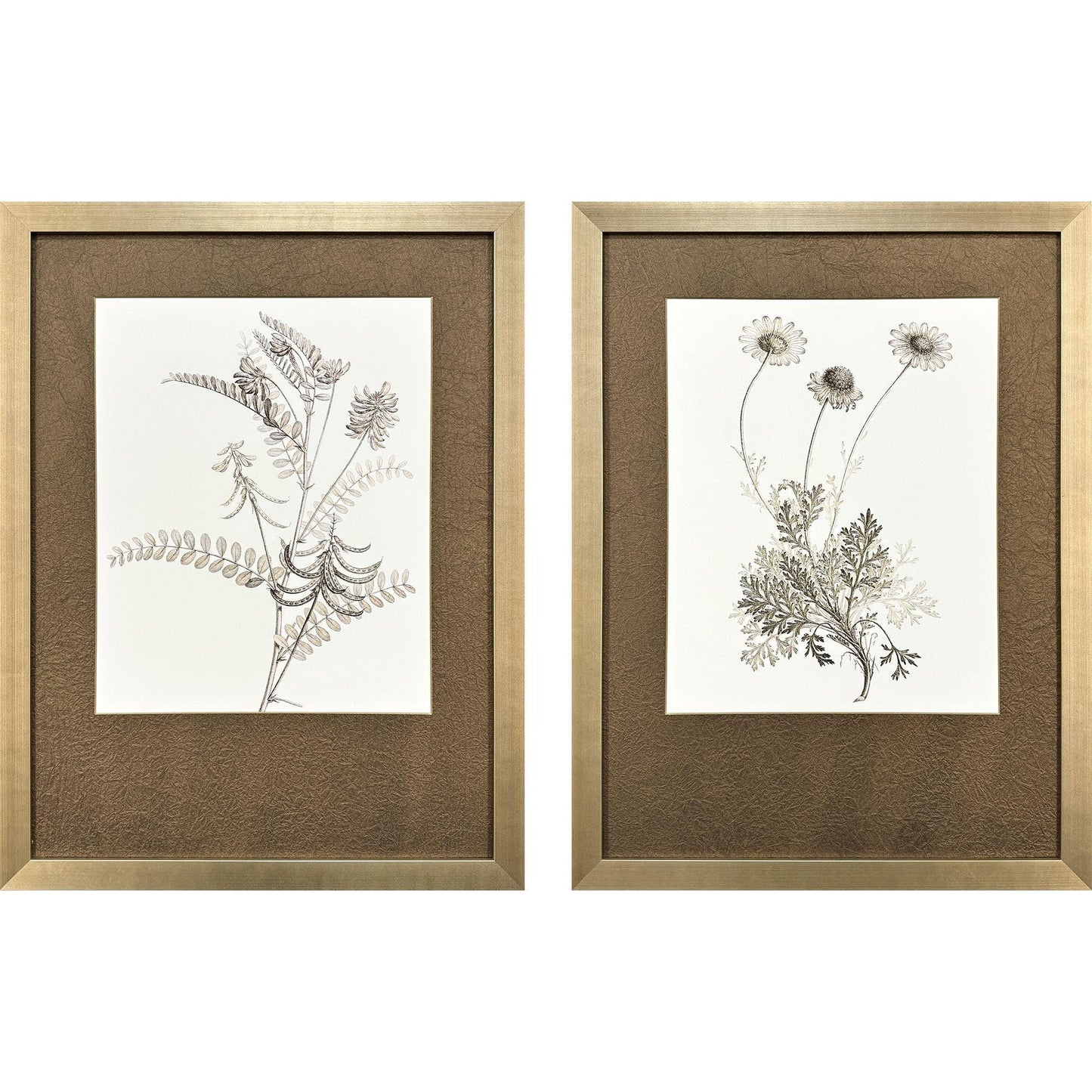 Neutral Botanical Wood Framed Wall Art 2PC