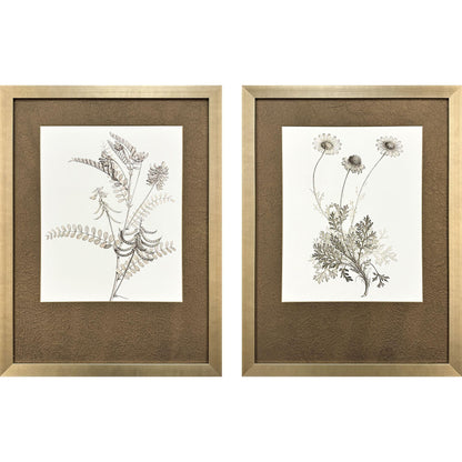 Neutral Botanical Wood Framed Wall Art 2PC